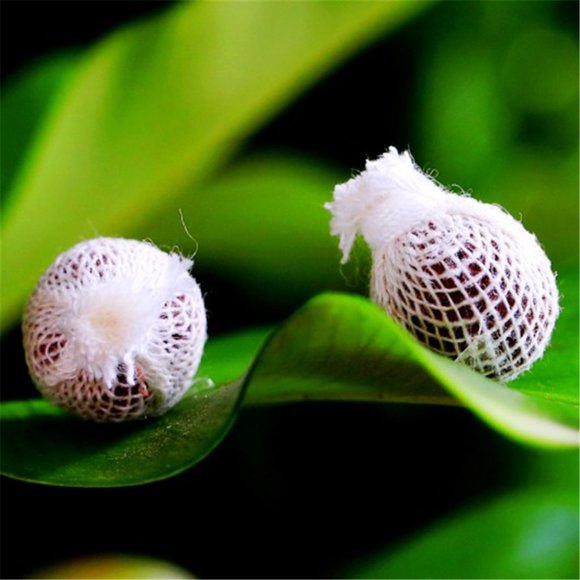 COPY - Yoni Detox Pearls - Monthly Rituals (Yoni … - Picture 10 of 16